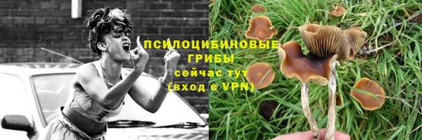 a pvp Верхний Тагил
