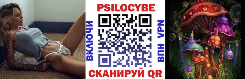 Галлюциногенные грибы Psilocybe  даркнет сайт  Якутск 